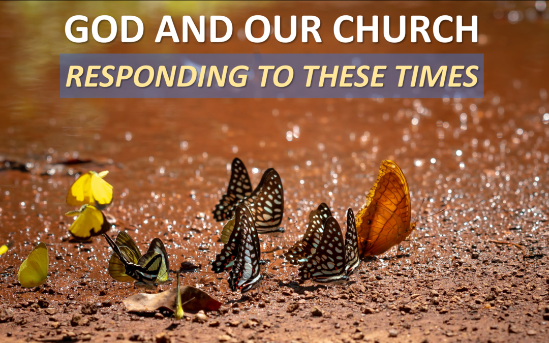 Sermon for Sunday 9th May 2021