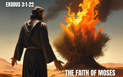 Sunday 20th July