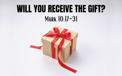 Sunday 15th February