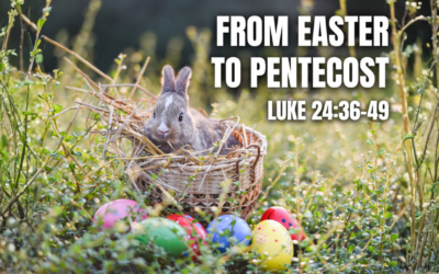 Sunday 19th April